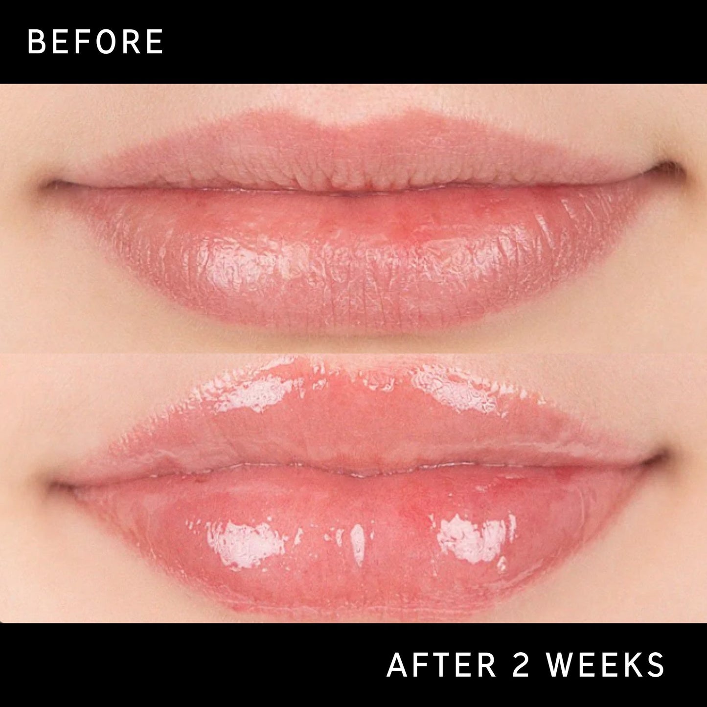 lip-plumping-duo-o6 DTC-Top15_Amends_Tripeptide-Lip_B_A.jpg